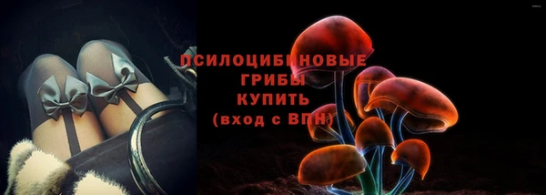 хмурый Алексеевка