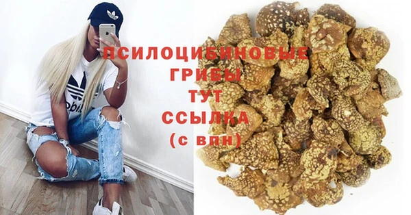 хмурый Алексин