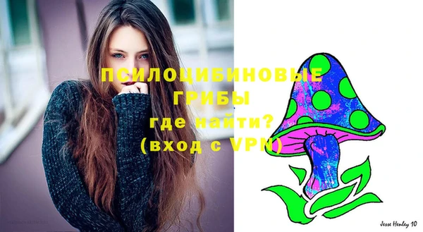 хмурый Алексеевка