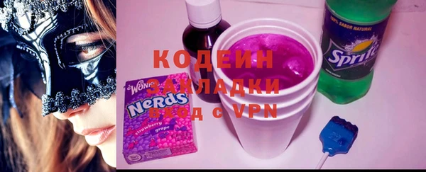 хмурый Алексин