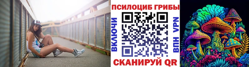 Галлюциногенные грибы прущие грибы  наркотики  KRAKEN зеркало  Переславль-Залесский 